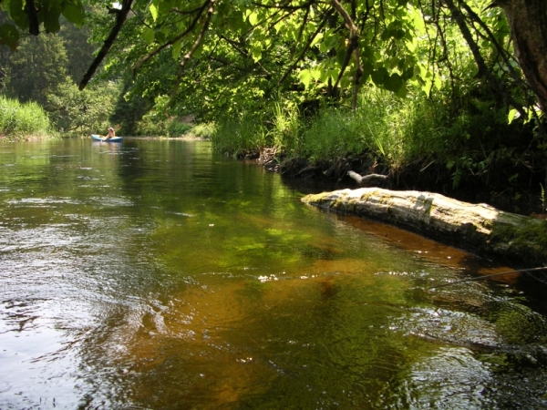 Spływ Kajakowy Czarną Hańczą
