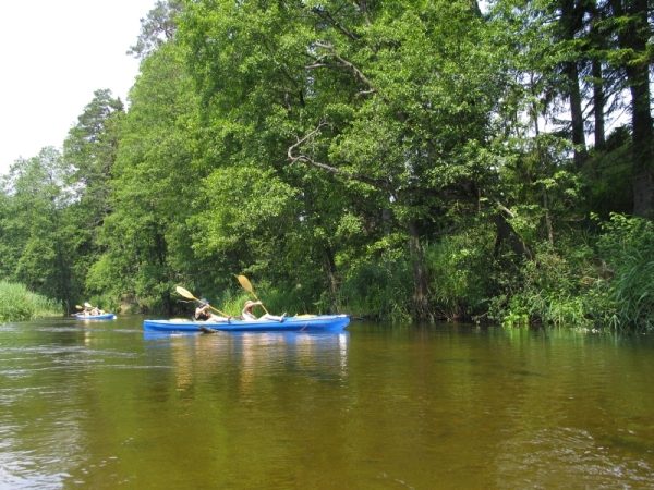 Spływ Kajakowy Czarną Hańczą